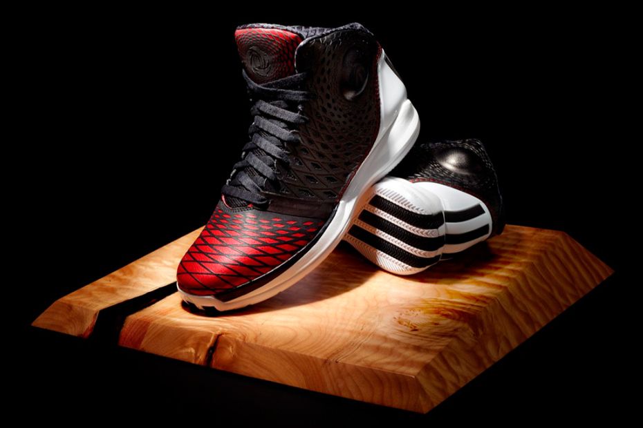 shoe model